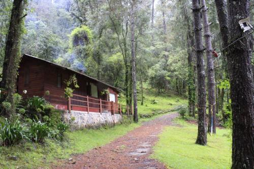 Hotel Caba�as Alpinas L�pez Fontes