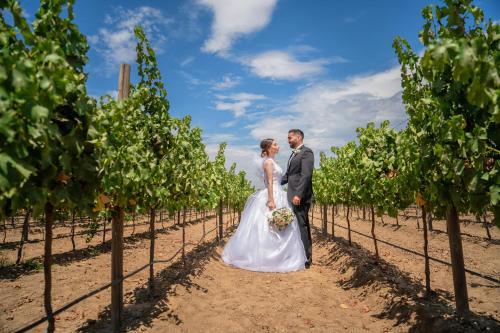 Hotel El Cielo Winery & Resort, By Karisma