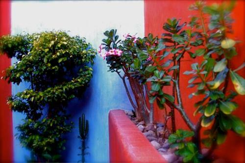 Villa Carolina Boutique Hotel