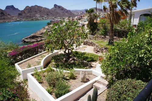 Apartamento Caracol Peninsula 547-4 �studios Del Caracol� Apts