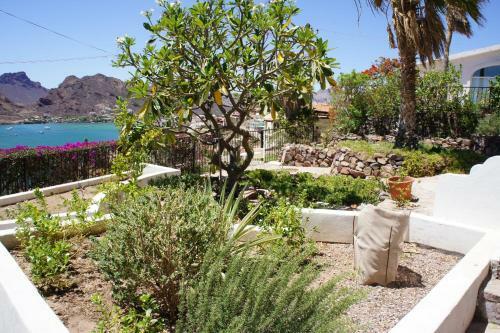 Apartamento Caracol Peninsula 547-4 �studios Del Caracol� Apts
