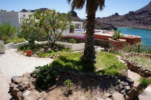 Apartamento Caracol Peninsula 547-4 �studios Del Caracol� Apts