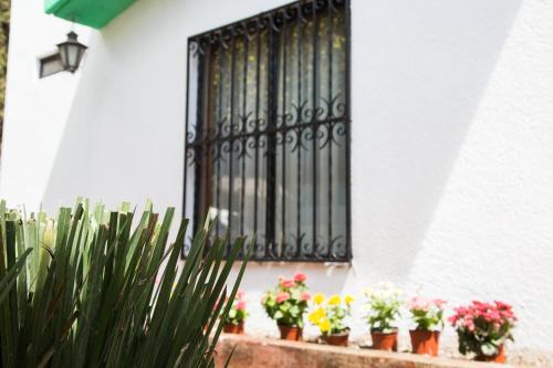 Hostal Casa De La Reina
