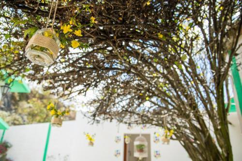 Hostal Casa De La Reina