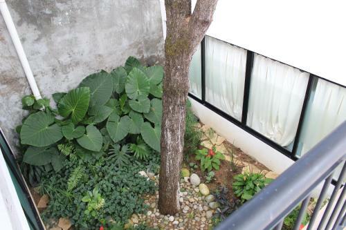 Bed & Breakfast Nordiko San Cristobal