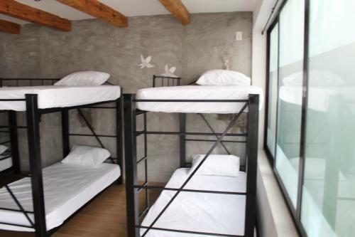 Bed & Breakfast Nordiko San Cristobal