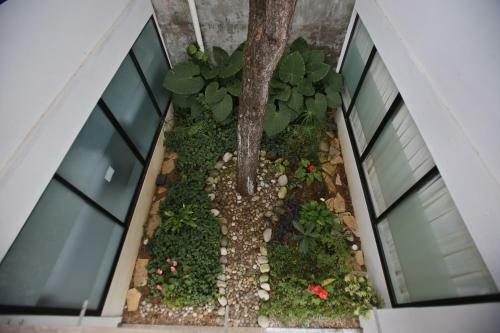 Bed & Breakfast Nordiko San Cristobal