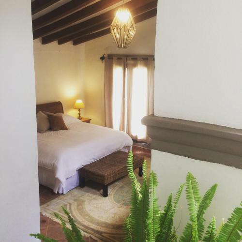 Hotel Hacienda La Romita