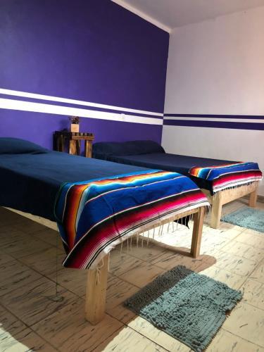 Hostal El Besito Hostel Sma