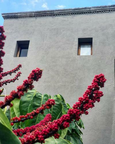 Hotel Casa Tierra Negra