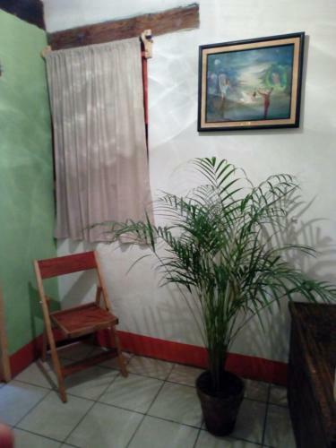 Apartamento Manzano�s