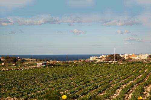 Bed & Breakfast Gozoluca