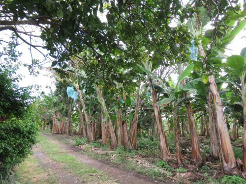 Lodge Finca El Diamante