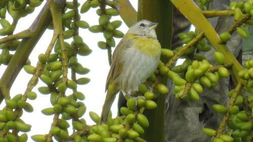 Lodge Finca El Diamante
