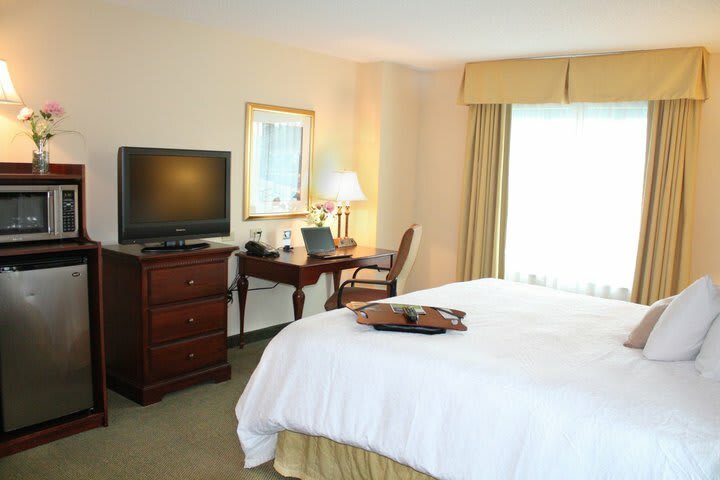 Hotel Hampton Inn & Suites Tampa/ybor City/downtown Fl