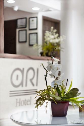 Ari Hotel
