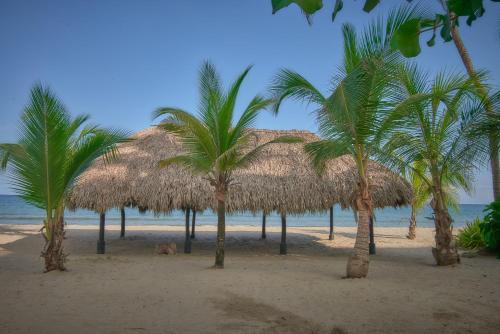 Apartamento Cove�itas 8