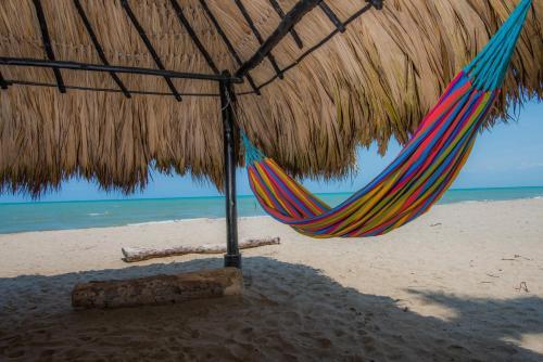Apartamento Cove�itas 8