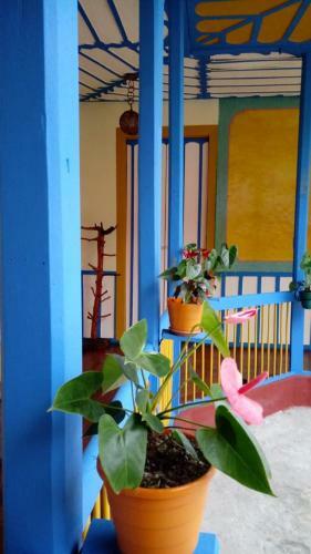 Lodge Casa Jard�n