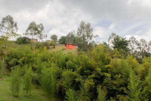 Hotel Ecolodge Bahia Del Pe��n