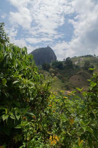 Hotel Ecolodge Bahia Del Pe��n
