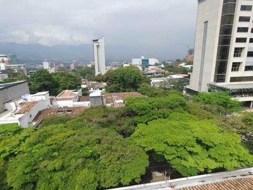 Parque Lleras Calle 10 Apartment