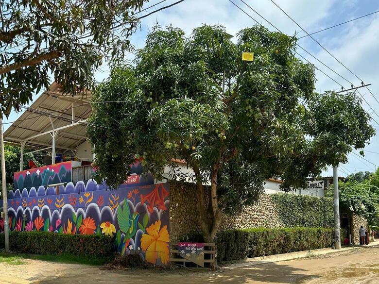 Hotel Casa Colibri Palomino