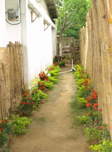 Agua Beach Hostal