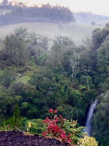Bed & Breakfast Waterfall Caf� Retreat