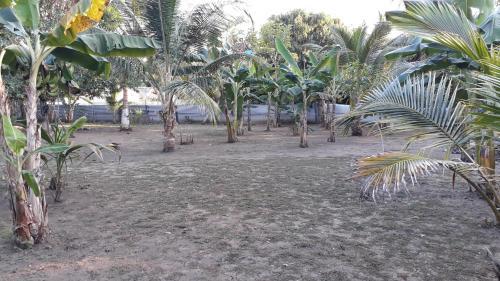 Agroturismo Caba�a Villa Gaby