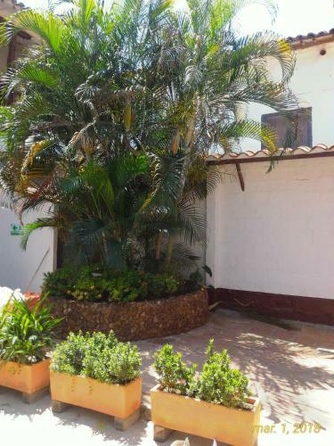 Hostal West Village Hostel