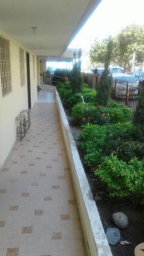 Apartamento Tacoa 101
