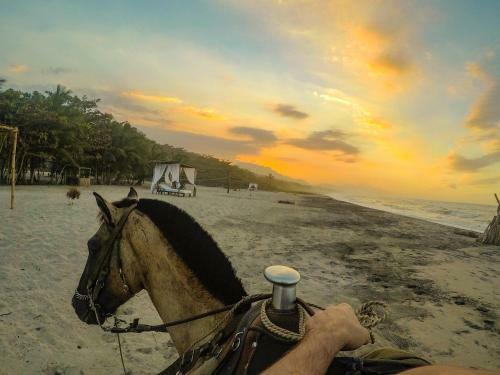 Albergue Tay Beach