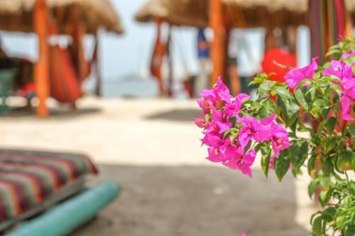 The Beach Hotel Cartagena