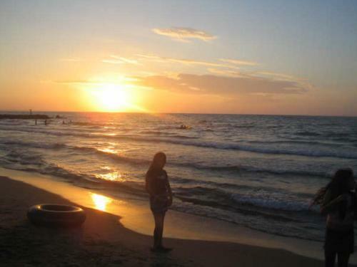 Caba�a Tol� Cove�as Playa