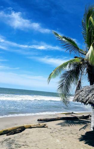 Caba�a Tol� Cove�as Playa