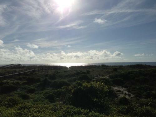 Apartamento First Floor Beachfront Condo #125270
