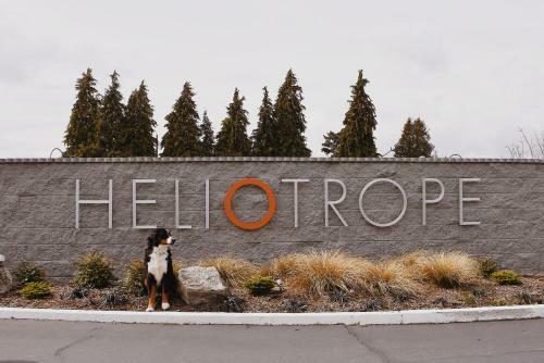 Motel Heliotrope Hotel