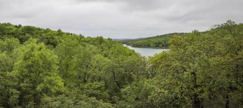 Apartamento Silver Dollar #1067744 Condo