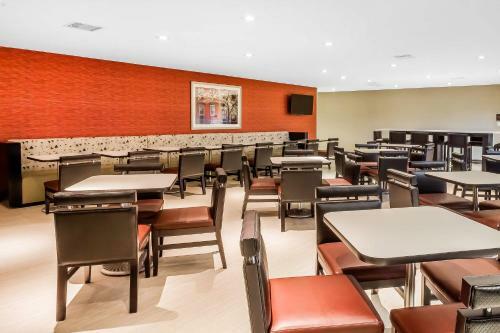 Hotel Comfort Inn & Suites Near Stadium