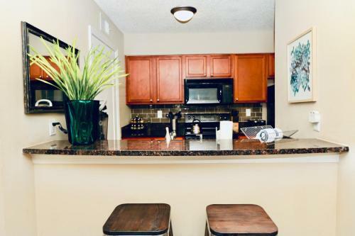 Deluxe Clearwater Apartment (cp-803)
