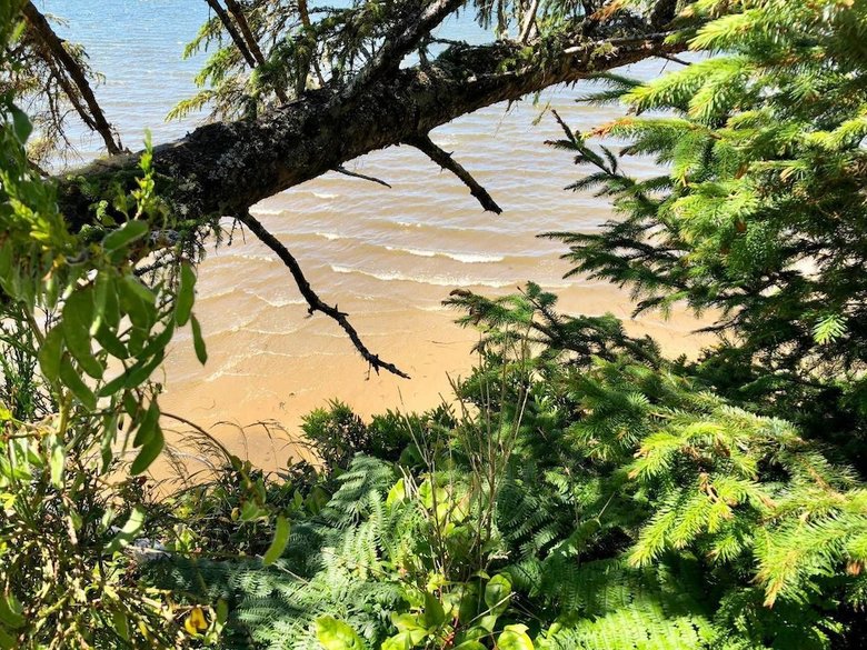 Apartamento Seagate: Starboard~coos Bay~premiere Property