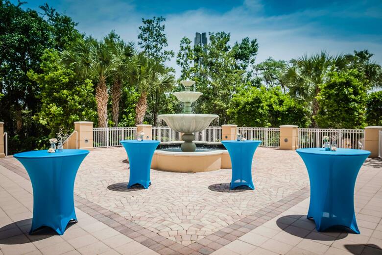Hotel Hilton St. Petersburg Carillon Park