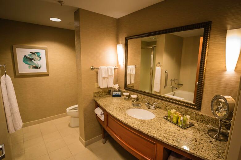 Hotel Hilton St. Petersburg Carillon Park