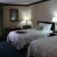 Hotel Hampton Inn Tampa-rocky Point