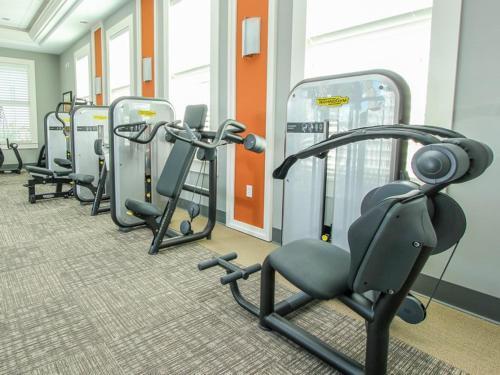 Oakbourne Fiesta 5348