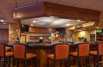 Hotel Holiday Inn Rolling Mdws Schaumburg Area