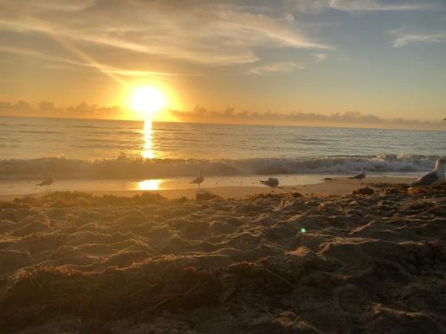 The 925 Ocean Boutique Hotel