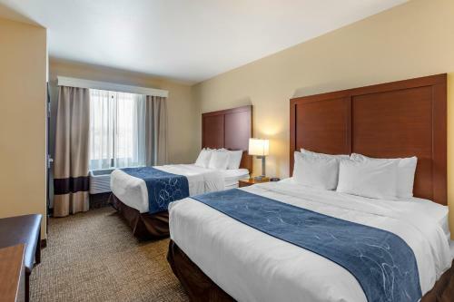 Hotel Comfort Suites Near Denver Downtown