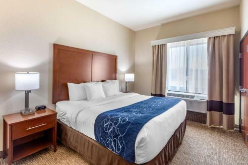 Hotel Comfort Suites Near Denver Downtown